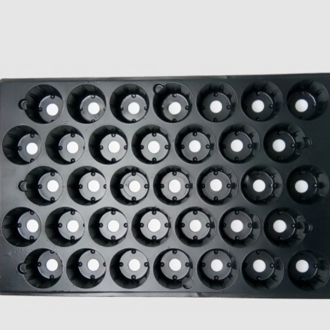 Кассета 35 ячеек круг - Dolina-Sad.Ru