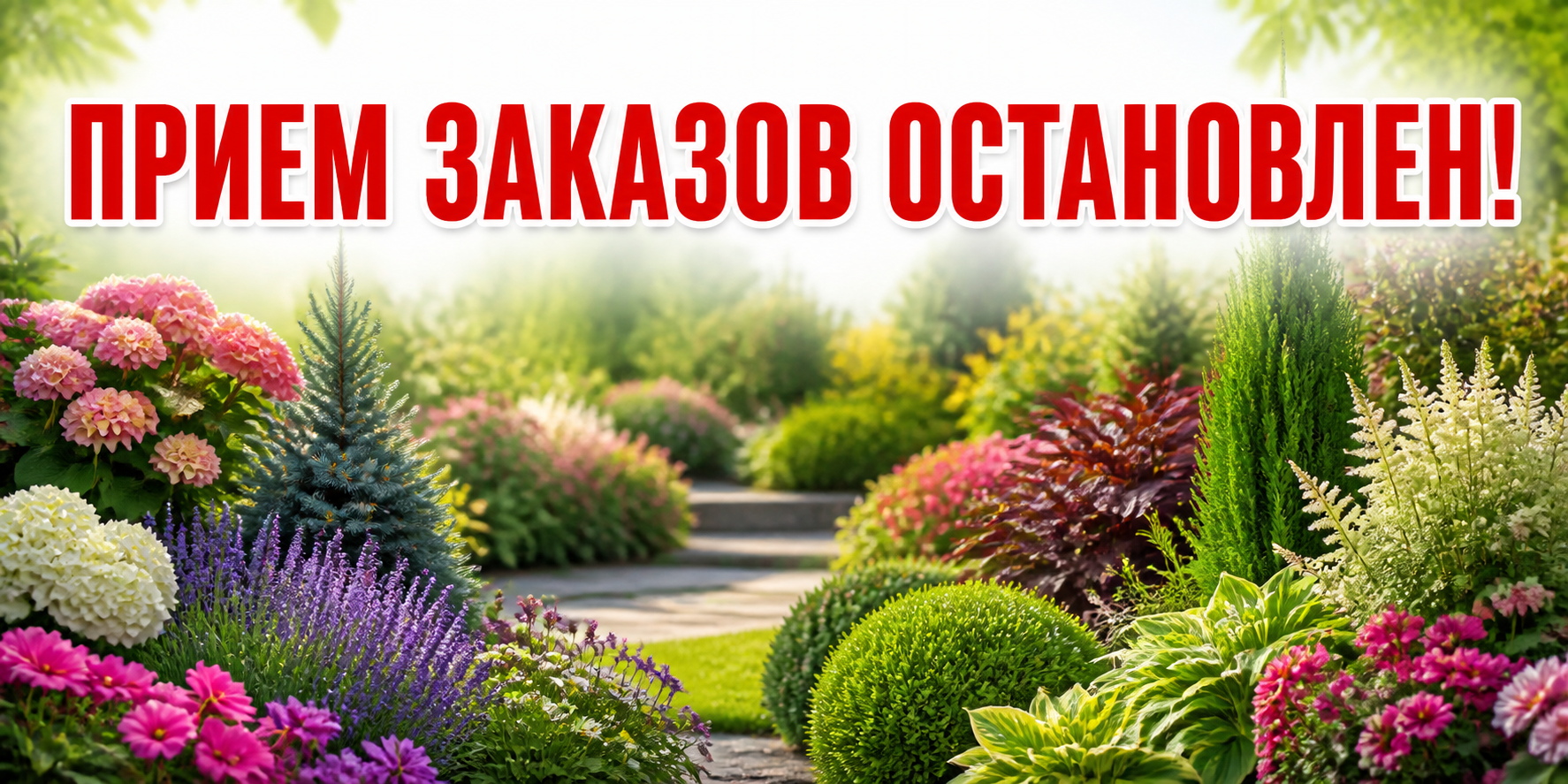ПРИЕМ ЗАКАЗОВ ОСТАНОВЛЕН