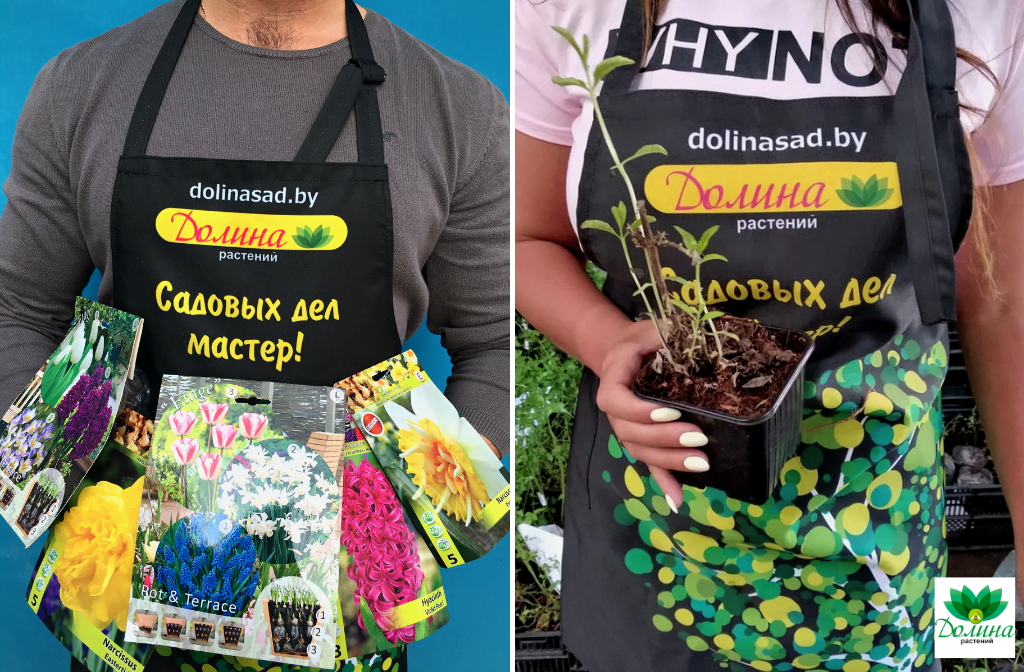 Растений из питомников Бельгии с доставкой по России Растений из питомников Бельгии с доставкой по России