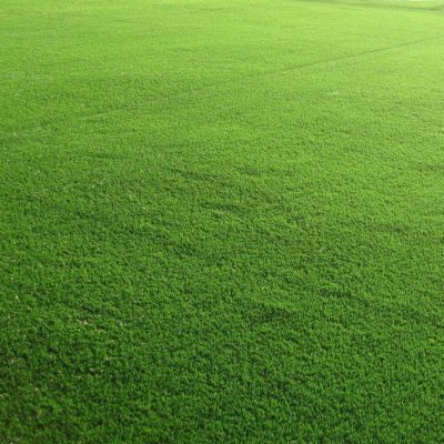 Газонная трава Спортивная площадка спортивный газон, 100 гр Газонная трава Спортивная площадка спортивный газон, 100 гр - Dolina-Sad.Ru