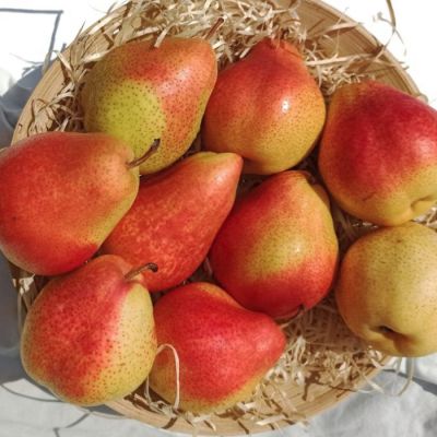 Груша Форель Груша Форель - Dolina-Sad.Ru