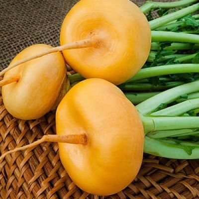 Репа Петровская фото