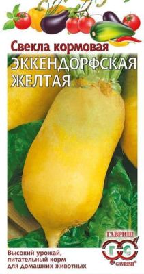 Свекла Эккендорфская желтая кормовая Свекла Эккендорфская желтая кормовая фото