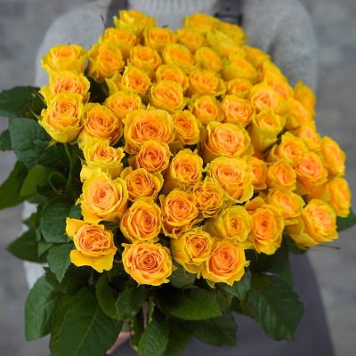 Роза Иллиос - Dolina-Sad.Ru