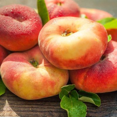 Персик Инжирный Бельмондо - Dolina-Sad.Ru