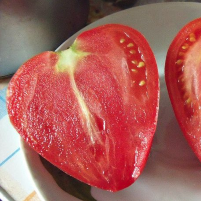 Томат Диско F1 Томат Диско F1 фото