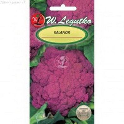 Капуста цветная Сицилия (Польша) Капуста цветная Сицилия (Польша) фото